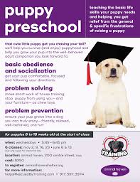 Begin to teach your puppy discipline, by restraining it for up to 20 seconds. Puppy Preschool 6 Week Class Rescued By Training