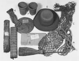 Image result for Hypolytrum heteromorphum