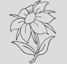 Pin On رسم