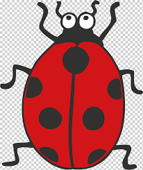 Mariquita Dibujo En Blanco Y Negro Animacion Insecto Animales Dibujos Animados Cuentos Milagrosos De Mariquita Gato Negro Png Klipartz El mundo en blanco y negro. mariquita gato negro png