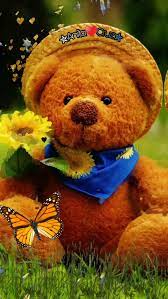 Anita Cruz Video In 2021 Teddy Bear Wallpaper Teddy Bear Images Teddy Bear