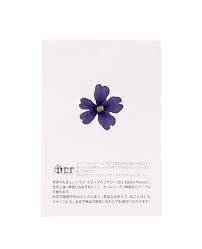 Cornflower is grown wild in the grain fields … Dried Blue Verbena Edible Flowers Neworks Edelices Co Uk