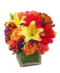 You can find gorgeous floral arrangements for weddings and holidays that take your breath away, and their delivery service has gotten rave reviews from lincoln, ne locals. Lincoln Florist Lincoln Ne Flower Shop Oak Creek Plants Flowers