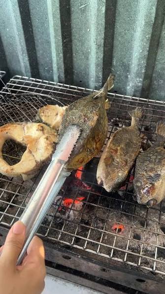 Cá bò hòm (Cá khế) nướng Phú Yên – Đặc sản “gà nước mặn” vùng biển Vũng Rô