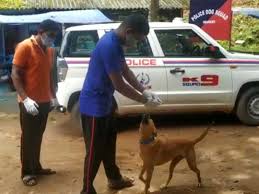 Check spelling or type a new query. India Pet Dog Of Kerala Family Killed In Landslide Begins New Life In Police Dog Squad India Gulf News