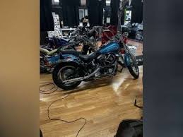 Image result for Aqua Pearl 1994 FXSTS