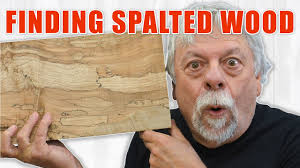 Finding Spalted Wood for Woodworking