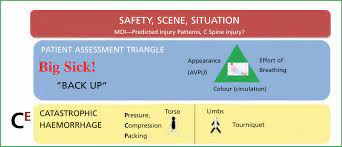 Blood on the floor and four more. The Revision Of The Primary Survey A 2011 Review Journal Of Paramedic Practice