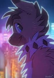 Black And Grey Wolf Pokemon 