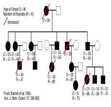 Sgugenetics Genetic Aspect Of Huntingtons Disease