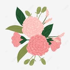 Designer topher delaney used intriguing architectural elements and blushing blooms to create a private oasis for a california family. Aesthetic Pink Pastel Floral Bouquet Carnation Flower Blush Png Transparent Clipart Image And Psd File For Free Download