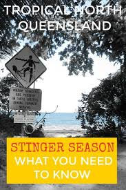 Queensland Australia Stinger Season In Tropical North Queensland Port Douglas And Cairns You Do Need T Australia Tourism Australia Travel Australia Vacation