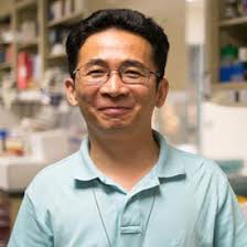 Xuefeng Liu, MD, MS