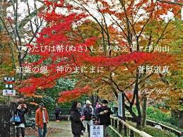 木々が紅葉に彩られると 学生時代に習ったあの和歌が思い出されます 北野天満宮 プロフ ユキのブログ