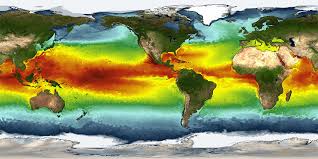 why do scientists measure sea surface temperature