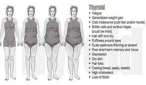 I Used To Think That Our Body Shapes Were Solely Determined By Mother Nature Which May Be Only Partially True But T Thyroid Body Type Body Type Diet Thyroid