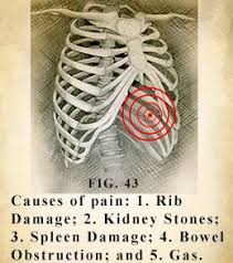 Left Abdominal Pain Upper Left Abdominal Pain Just Below Ribs