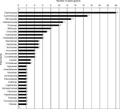 Image result for Eriosema tisserantii