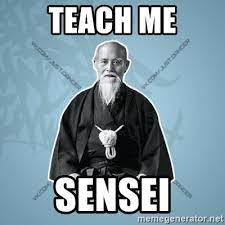 teach me, sensei - Meme Generator