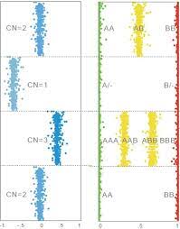 In addition to genotyping, snp arrays are good tools for copy number calling. Snp Array Interpretation Illustration Of Normal Copy Number Cn 2 Download Scientific Diagram