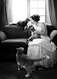 Wedding Mariage Bride With Her Cats La Mari 233 E Avec Ses Chats Www Francoishogue Cat Wedding Wedding Photos Photos With Dog