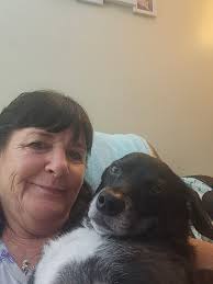 This is Goober! Almost 4 years old. 22 pounds.