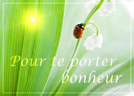 1er mai brin de muguet clochettes. Cartes Virtuelles Muguet Coccinelle Bonheur Joliecarte