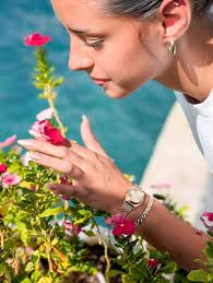 Bula Surf Shop, Aruba