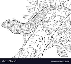 Marigolds flower coloring pages for adults. Lizards Adult Coloring Page Free Printable Named Coloring B110 Grouper