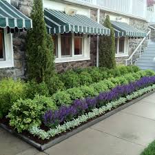 Clethra Boxwood Sage Lambs Ear Garden Wish List Pinterest Front Garden Landscape Boxwood Landscaping Backyard Landscaping