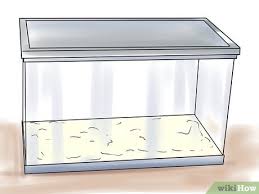 Dasypeltis scabraالطول :55 سم الى 90. ÙƒÙŠÙÙŠØ© ØªØ²Ø§ÙˆØ¬ Ø§Ù„Ø¨Ø±Øµ 14 Ø®Ø·ÙˆØ© ØµÙˆØ± ØªÙˆØ¶ÙŠØ­ÙŠØ© Wikihow