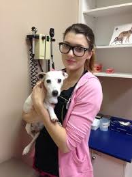 We did not find results for: Westgate Animal Hospital Veterinarians 650 20395 Lougheed Highway Maple Ridge Bc Phone Number