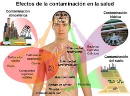 Resultado de imagen para daños al medio ambiente y la salud