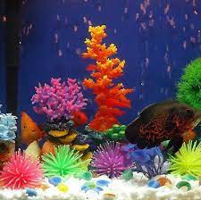 Black Motorcycle Driving Passing Bullet Led Turn Signal Spot Fog Lights Bar Top Ebay Fish Tank Decorations Aquarium Fish Aquarium Fish Tank
