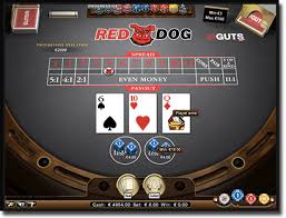 Hand are ranked similarly to hands in poker. Red Dog Poker Rules Payout And Strategies For Online Card Game