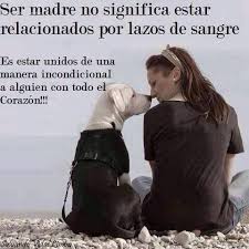 Www Greenpcomunicacion Com Dog Quotes I Love Dogs Dog Love