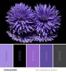 Color Palette Ideas Icolorpalette Colors Inspiration Graphics Design Inspiration Beautiful Co Purple Color Palettes Violet Color Palette Colour Pallete