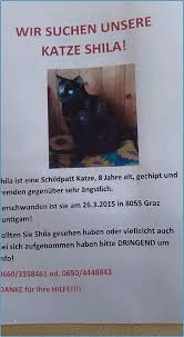 Suchplakat für eine entlaufene katze schreiben. Luxus Vermisstenanzeige Katze Vorlage Solche Konnen Anpassen Fur Ihre Wichtigsten Inspiration Dillyhearts Com