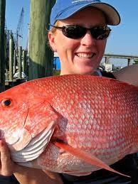 Red snapper season opens for two weekends