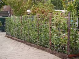 schuttingen schutting tuin tuin afscheiding tuin