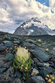 Annapurna base camp Trek