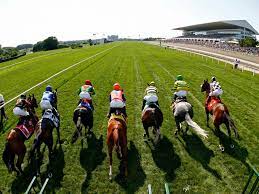 Only the best hd background pictures. 46 Free Horse Racing Wallpaper Downloads On Wallpapersafari