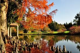 Visiter L Arboretum De Balaine Dans Maison Jardin Cuisine Brocante