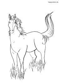 22cm x 28 cm erstes mischen 4,99 € *: Ausmalbilder Pferde Kostenlos Malvorlage Pferd