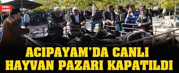 Acipayam Da Canli Hayvan Pazari Kapatildi Denizli Haber Denizli Gazetesi