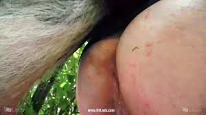 K9Lady] Ariel - Wet Spice - BestialitySexTaboo - Bestiality Sex Taboo