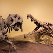 Hours may change under current circumstances New Mexico Museum Of Natural History And Science 226 Photos 80 Reviews Museums 1801 Mountain Rd Nw Albuquerque Nm United States Phone Number Yelp