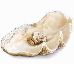 We have hand selected a number of large shells and extra large seashells for decorating and collector shells, priced slighly above wholesale for use in seashell wedding centerpieces, for shell collectors and seashell decor. Atlantis Giant Clamshell Display Bowl Nautical Luxuries