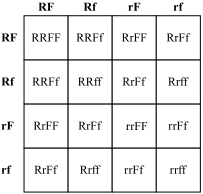 In guinea pigs, black hair ( b) is dominant to brown hair ( b) and short hair ( h) is dominant to long hair ( h ). 2012 Mcas Sample Student Work Massachusetts Comprehensive Assessment System