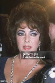 491 Actress Darlene Stock Photos, High-Res Pictures, and Images